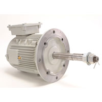 Cooling Tower Motors