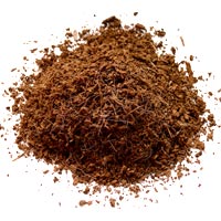 Coir Dust