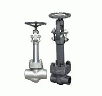 Cryogenic Globe Valve