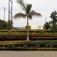 Commercial Landscaping Services