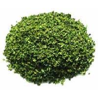 Dehydrated Green Pepper