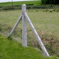 Concrete Fencing Poles