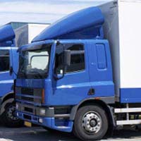 Domestic Cargo Services