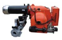 Dual Fuel Burners