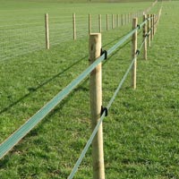 Electric Fence