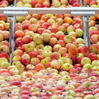 Fruit Processing Plant