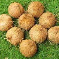 Fully Husked Coconut
