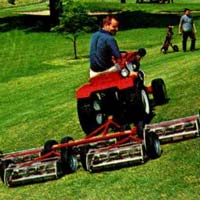 Gang Mower