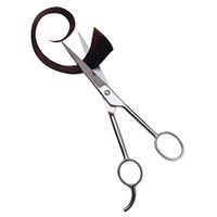 Hair Scissor