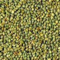 Green Millets