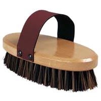 Horse Brush