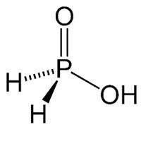 Hypophosphorous Acid