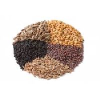 Hybrid Vegetable Seeds