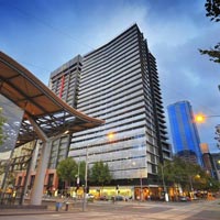 International Business Consultancy