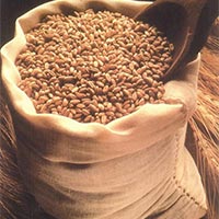 Wheat Bag