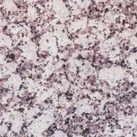 Platinum White Granite