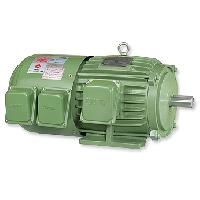 Inverter Duty Motors
