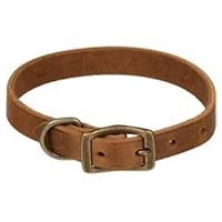 Leather Dog Collar