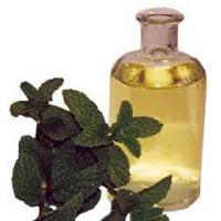 Peppermint Essential Oil