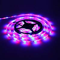 LED Light Strip