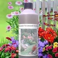 Liquid Seaweed Fertilizer