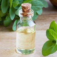 Marjoram Oil