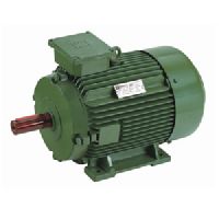 Multi Speed Motor