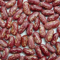 Red Speckled Kidney Beans