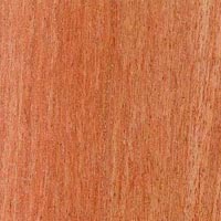 Red Meranti Wood