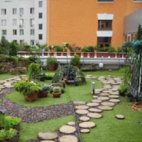 Roof Gardening Services