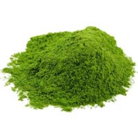 Spinach Powder