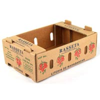 Vegetable Box