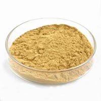 Yeast Powder