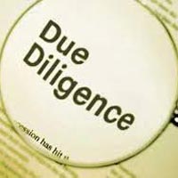 Due Diligence Services