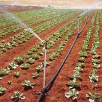 Micro Irrigation System