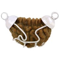 1 Mukhi Rudraksha Pendant