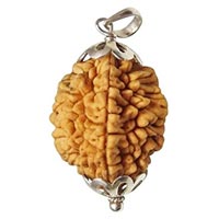 Mukhi Rudraksha Pendant