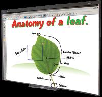 Smart Board