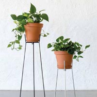 Pot Stand