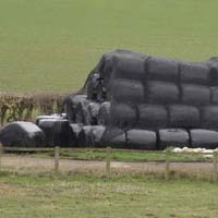 Biodegradable Mulch Film