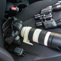 Fraud Investigation Service