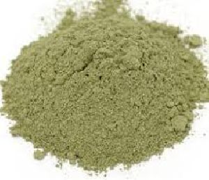 Dehydrated Apple Powder