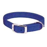 Nylon Dog Collars