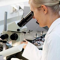 Textile Testing Service