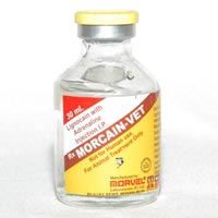 Lignocaine Injection