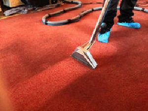 Carpet Treatment Service