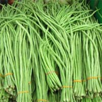 Long Bean