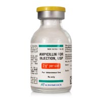 Ampicillin Injection