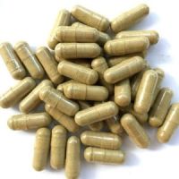 Ginkgo Biloba Capsules