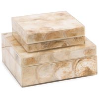 Shell Boxes